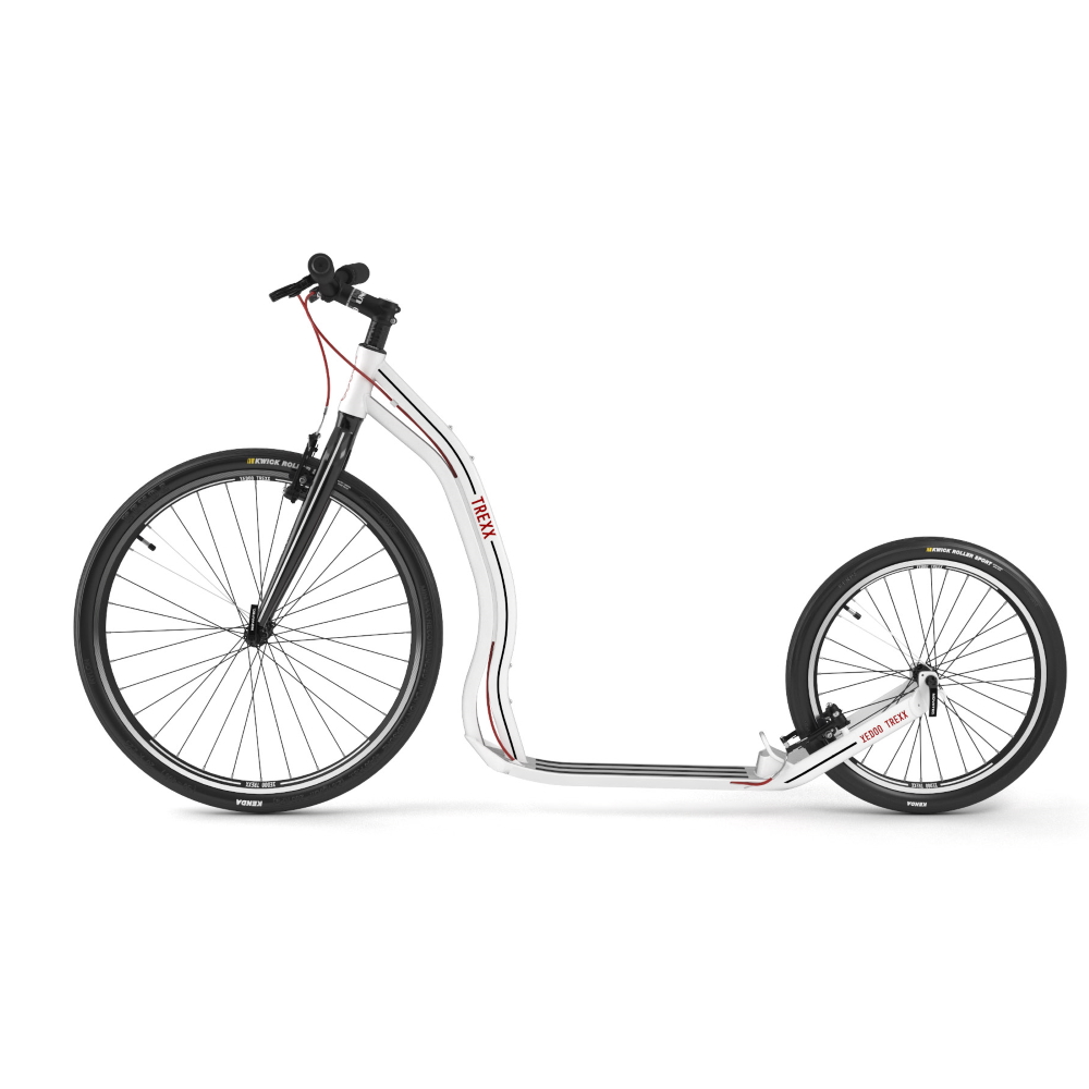 Yedoo Trexx Tretroller 2020 - schwarz - inSPORTline