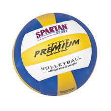 Spartan Indoor Volleyball