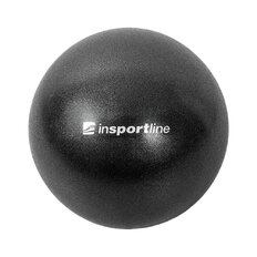 Fitnessball inSPORTline Aerobic Ball 20 cm