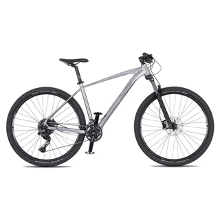 Mountainbike 4EVER Victory 29" - Modell 2025 - silver pearl/black