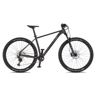 Mountainbike 4EVER Prodigy Race 29" – Modell 2026 - black/hologram