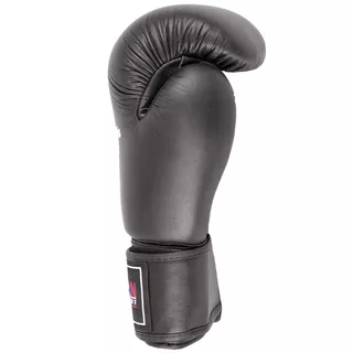 Boxhandschuhe Spartan Top ten | inSPORTline