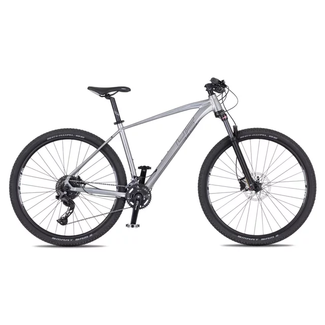 Mountainbike 4EVER Victory 29" - Modell 2025 - silver pearl/black