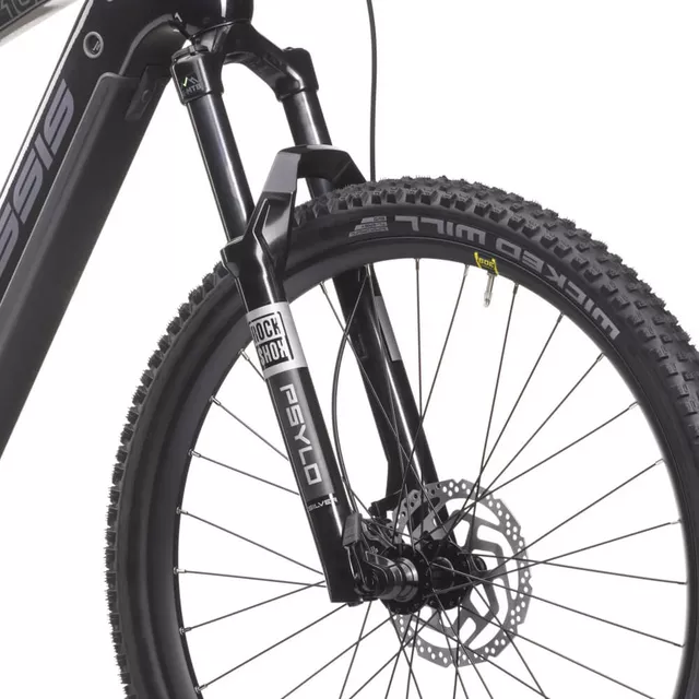 Mountainbike Crussis e-Largo 10.10 900Wh 29" - Modell 2025