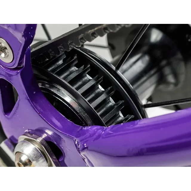 Kinder Fahrrad Akademie Grad 3 Gürtel 16"