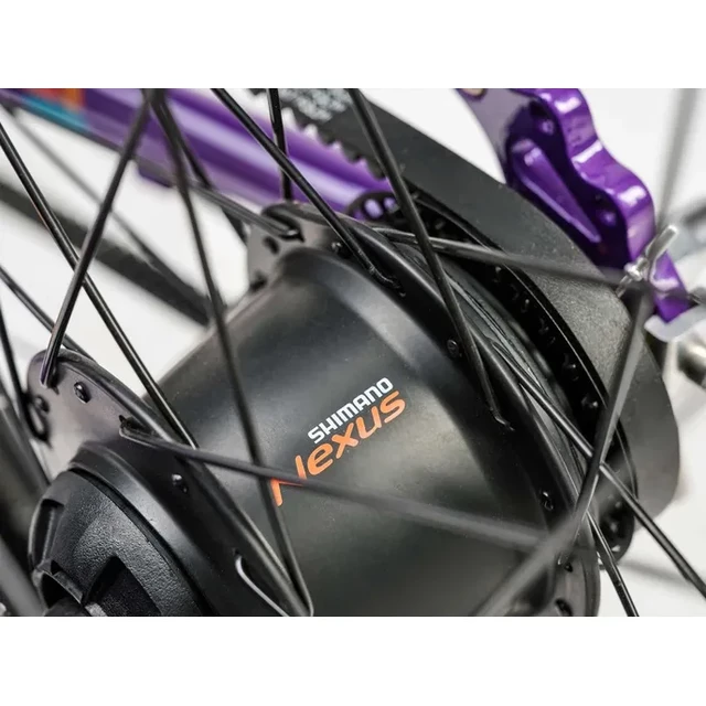 Junior Academy Klasse 5 Gürtel 24"