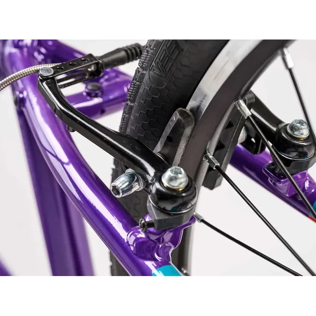 Junior Academy Klasse 5 Gürtel 24"