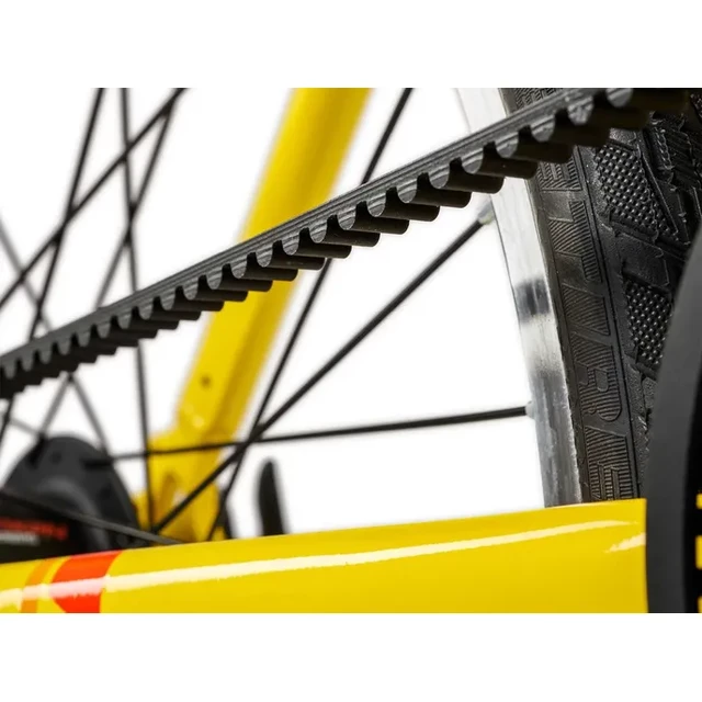 Junior Academy Klasse 5 Gürtel 24"