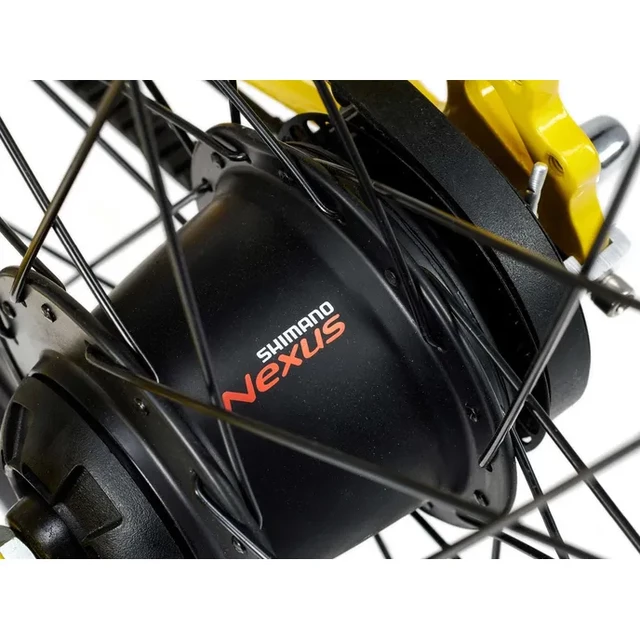 Junior Academy Klasse 5 Gürtel 24"