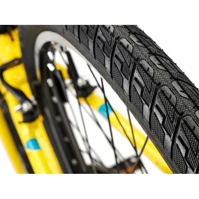 Junior Academy Klasse 5 Gürtel 24"