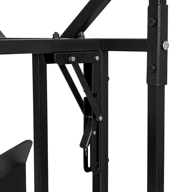 Basketball-Rückkehrer inSPORTline Havaster II