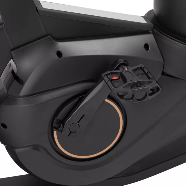 AirBike® inSPORTline Max