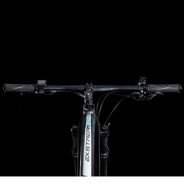 Mountainbike 4EVER Exstream Team 29"