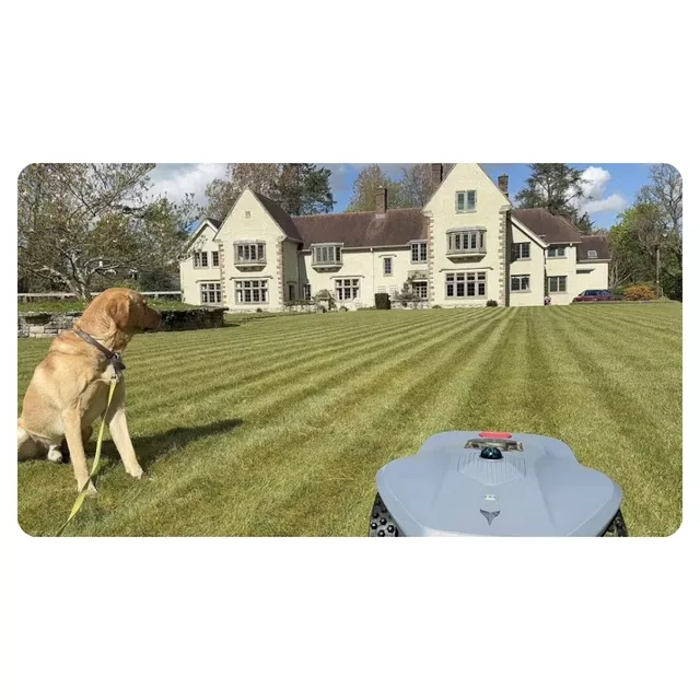 Hookii Neomow X Pro Rasenmäherroboter (6000m²)