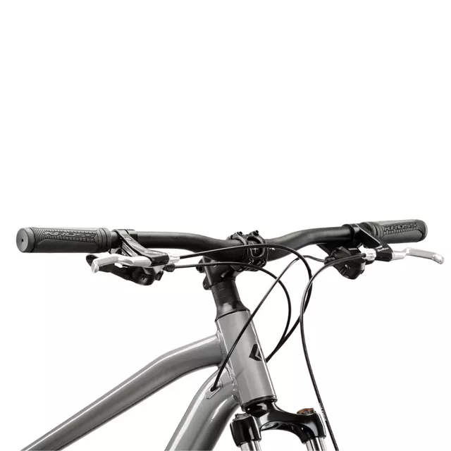 Mountainbike Kross Hexagon 3.0 29" Gen 008