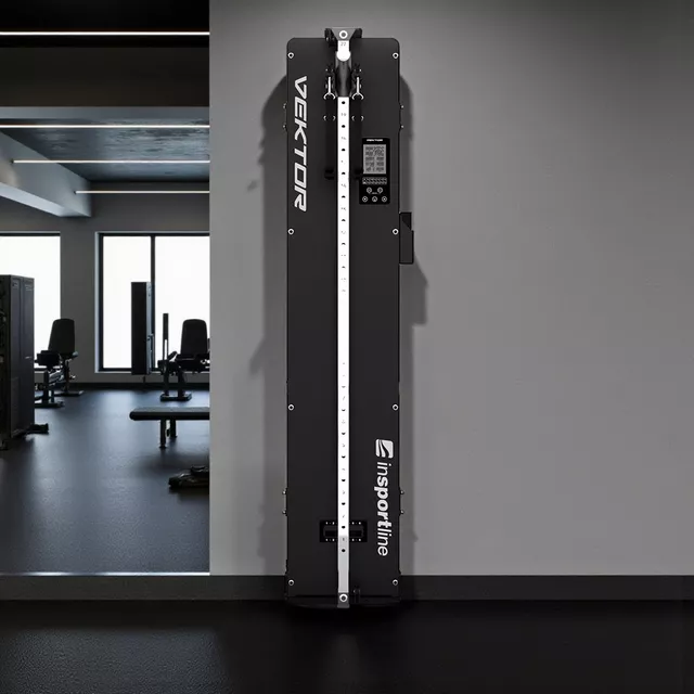 inSPORTline Vektor Fitnessstand