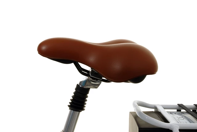 City E-Bike Llobe ComfortLine 36V / 10,4Ah