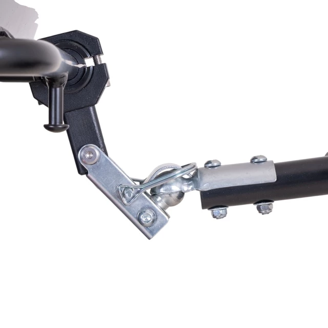 inSPORTline Zorica Elektro-Dreirad mit Anhänger