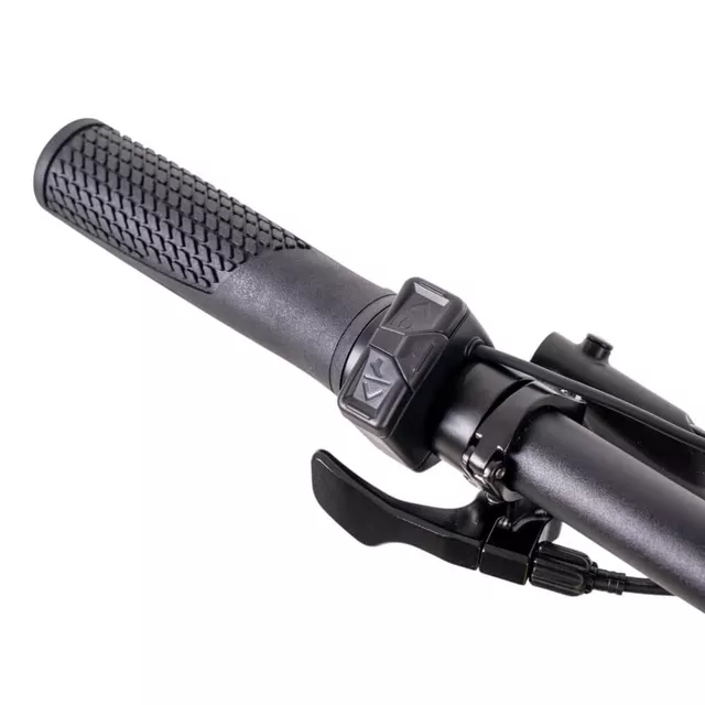 E-Mountainbike inSPORTline ISL Tachion 630Wh 29" - Modell 2025 - Graphite Neon