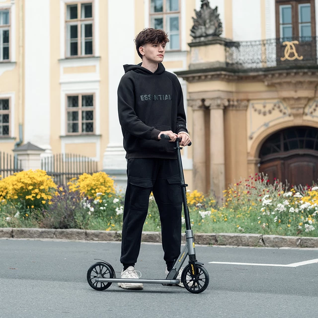 Klappbarer Motorroller inSPORTline Wayotan