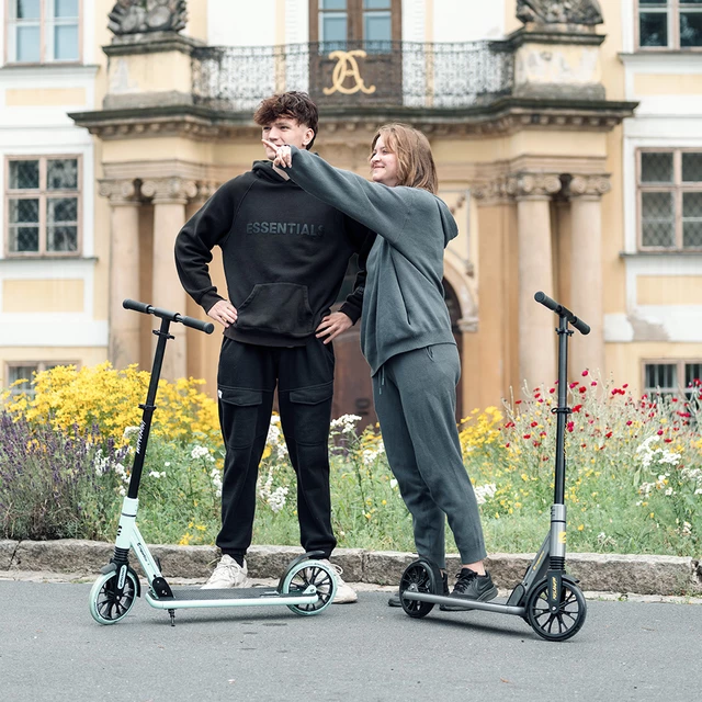 Klappbarer Motorroller inSPORTline Wayotan