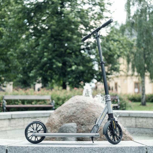 Klappbarer Motorroller inSPORTline Wayotan