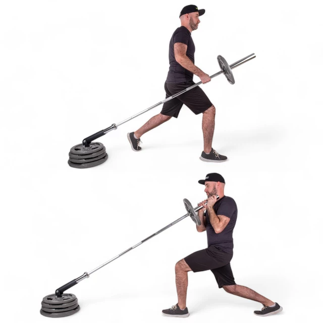 Multidirektionaler Achshalter inSPORTline LandMine II