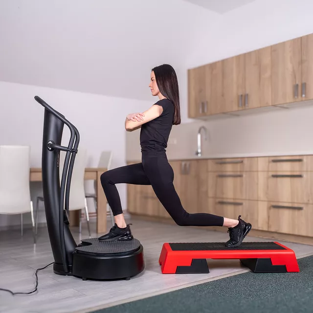 VibroGym inSPORTline Lotos Max