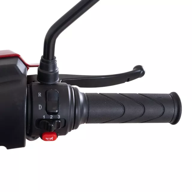 inSPORTline Antun elektrischer vierrädriger Wagen