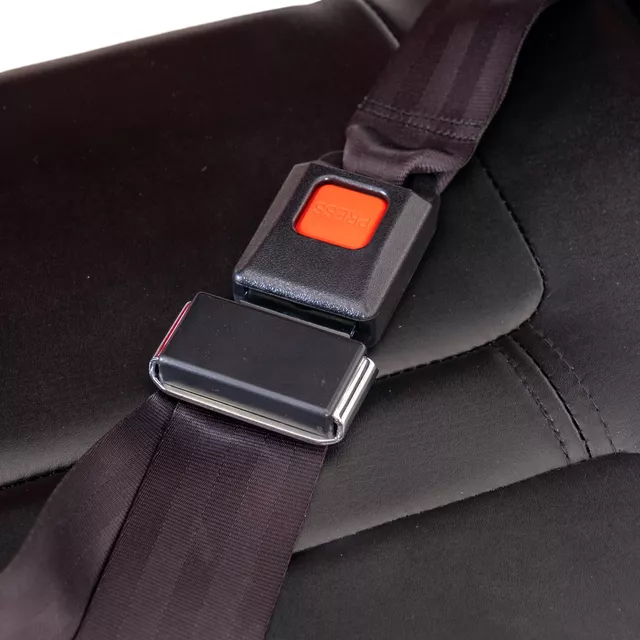 inSPORTline Antun elektrischer vierrädriger Wagen