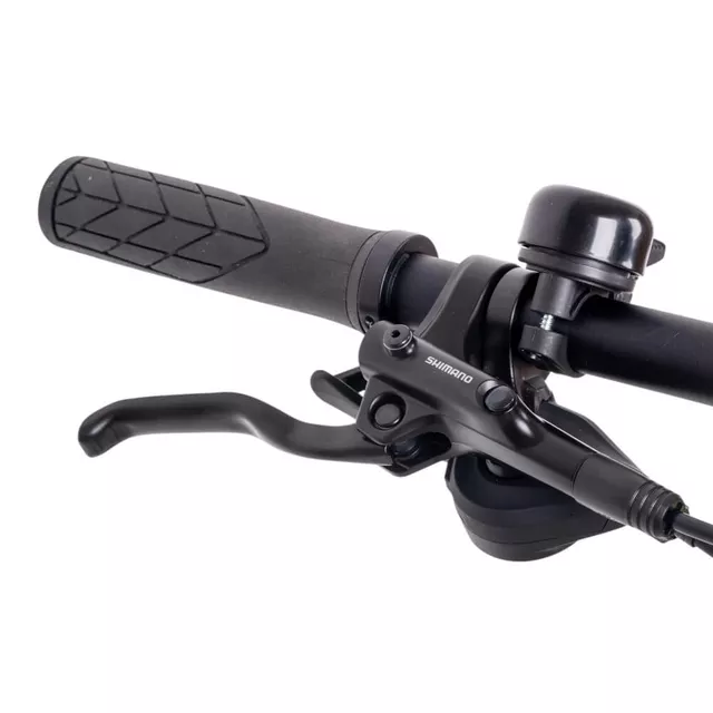 E-Mountainbike inSPORTline ISL Tachion 630Wh 29" - Modell 2025 - Graphite Neon