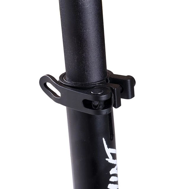 inSPORTline Wayomint faltbarer Motorroller