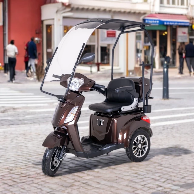 inSPORTline Zorica Elektro-Dreirad mit Dach