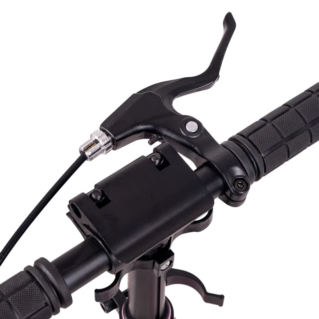 Scooter inSPORTline Discoleta - blau