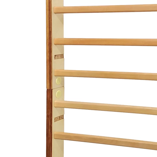 inSPORTline Sprossenwand Dualmar 195x65 cm