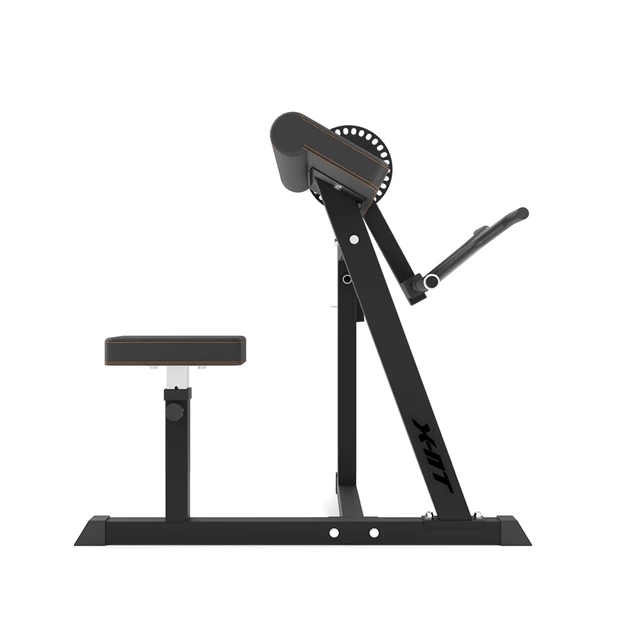 inSPORTline X-NT BT20 Biceps a Triceps Curl Bank