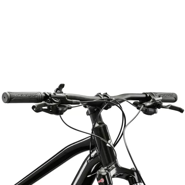 Mountainbike Kross Hexagon 5.0 29" Gen 008 - stříbrná / černá / lesk