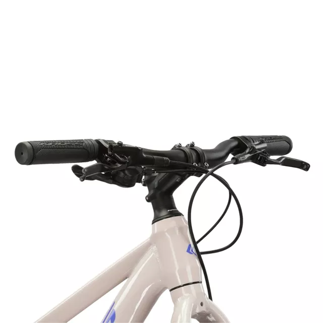 Junior Mädchen Fahrrad Kross LEA JR 2.0 24" - Modell 2025