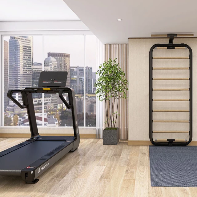 Leitern inSPORTline Wootalux 220x86 cm