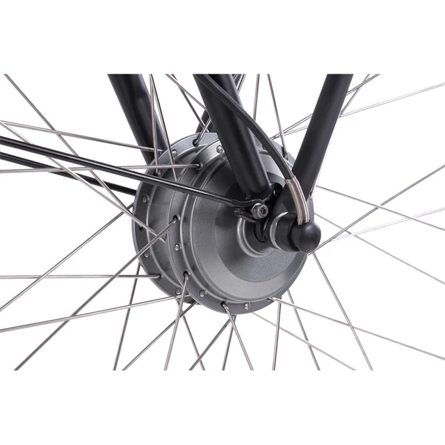 Herren Stadt E-Bike Llobe Rosendaal 3 Gent schwarz 36V/13Ah