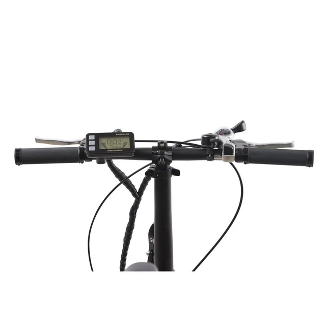 Falt E-Bike Llobe city III schwarz