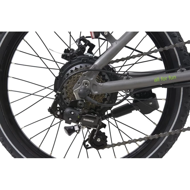 Falt E-Bike Llobe city III grau