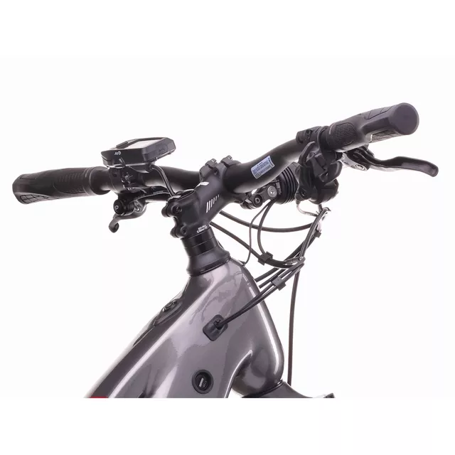 Damen-Trekking-E-Bike Crussis e-Savela 9.11 715Wh 28" - Modell 2026