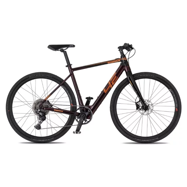 Gravel-E-Bike 4EVER ENGRAVE FLAT 28" - titan/hologram - velvet/metal bronze