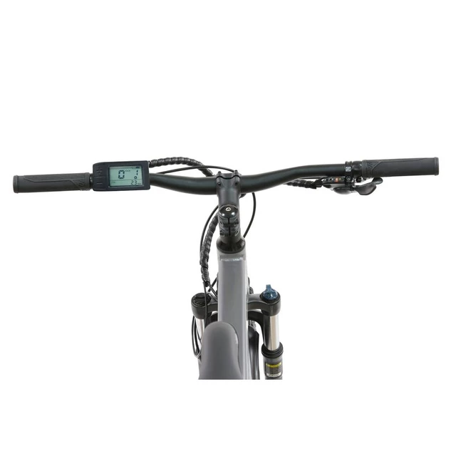 Falt E-Mountainbike Llobe FML 830 grey