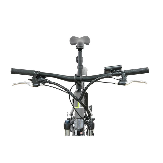 Falt E-Mountainbike Llobe FML 830 grey