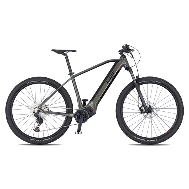 Mountainbike 4EVER Exstream PRO 820Wh 29" - Modell 2025 - grey diamond/silver