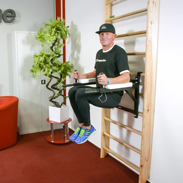 InSPORTline Dremar 200 x 80 cm Sprossenwand - lackiert