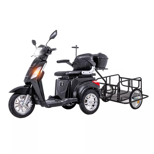 inSPORTline Zorica Elektro-Dreirad mit Anhänger - schwarz