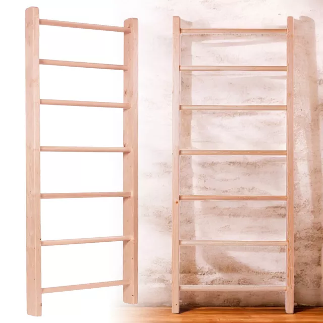 inSPORTline Steadyline 250x80 cm Sprossenwand